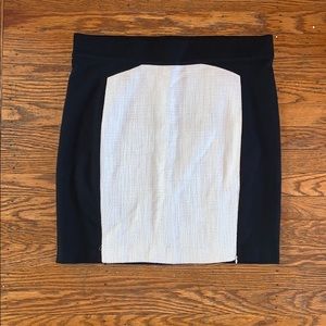 Professional Pencil Skirt